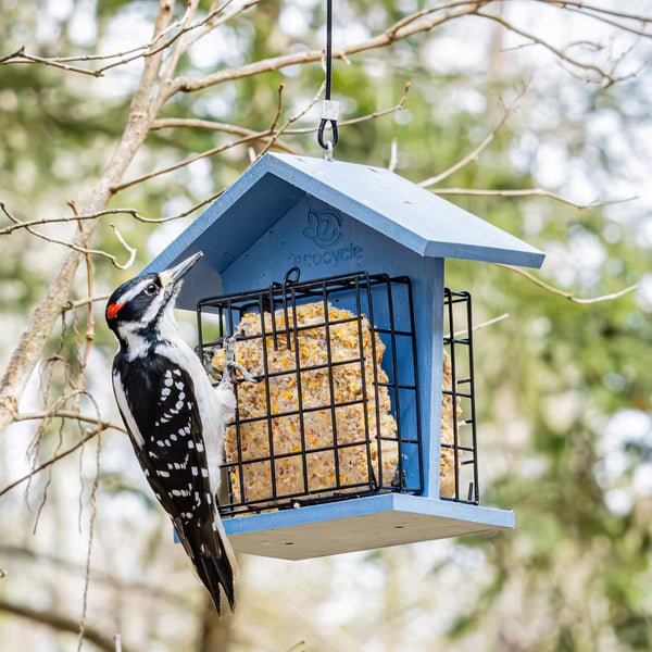 Nature's Way EcoCycle Suet Snacker Bird Feeder - 2 Cake Capacity
