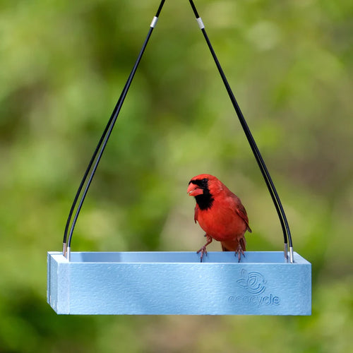 1.5 Qt. Nature's Way EcoCycle Perfect Picnic Bird Feeder