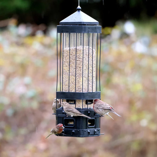 3.2 Qt. Nature's Way Squirrel Shield Advantage Cage Metal Feeder