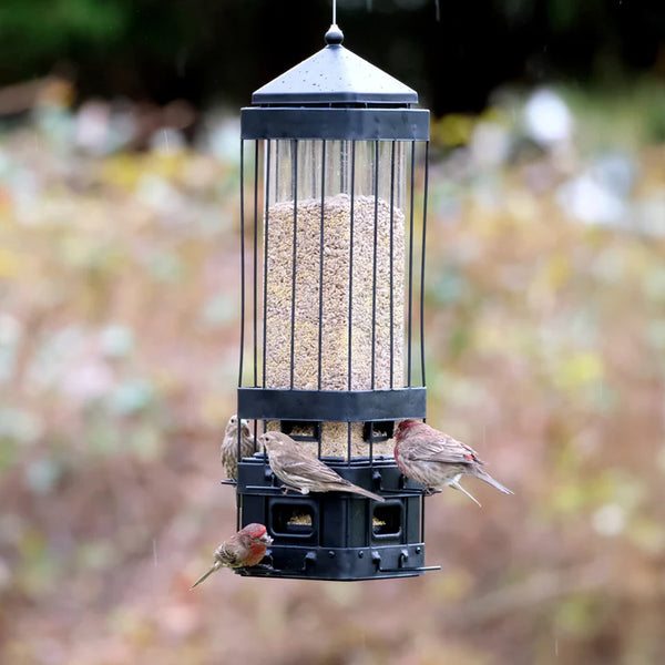 3.2 Qt. Nature's Way Squirrel Shield Advantage Cage Metal Feeder