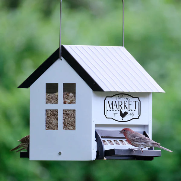 5.5 Qt. Nature's Way Squirrel Shield Hopper Metal Feeder