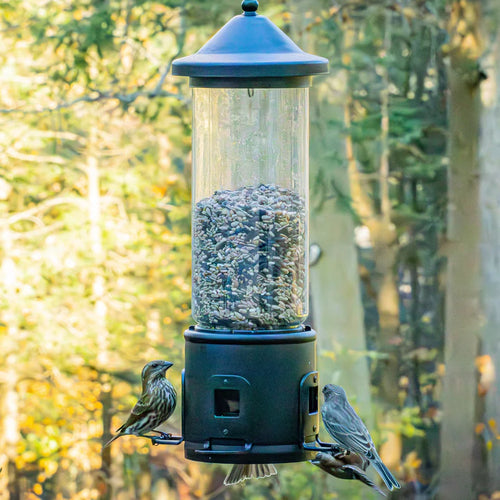 3.1 Qt. Nature's Way Squirrel Shield Choice Tube Metal Feeder