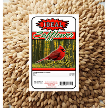 IDEAL Safflower Wild Bird Seed - Premium Food for Cardinals, Chickadees, Woodpeckers