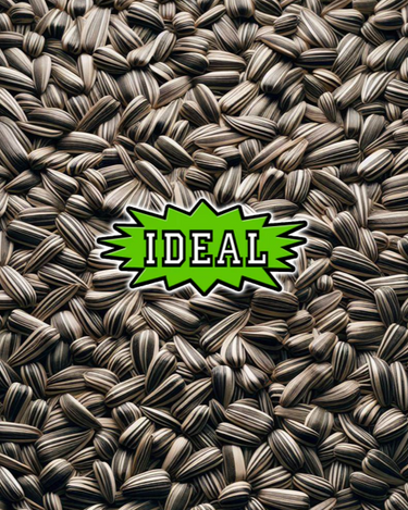 IDEAL Stripe Sunflower Seeds Wild Bird Seed