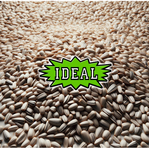 IDEAL Coarse Sunflower Hearts Wild Bird Seed