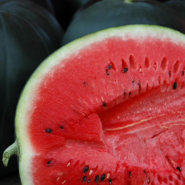 Sugar Baby Watermelon Garden Seeds
