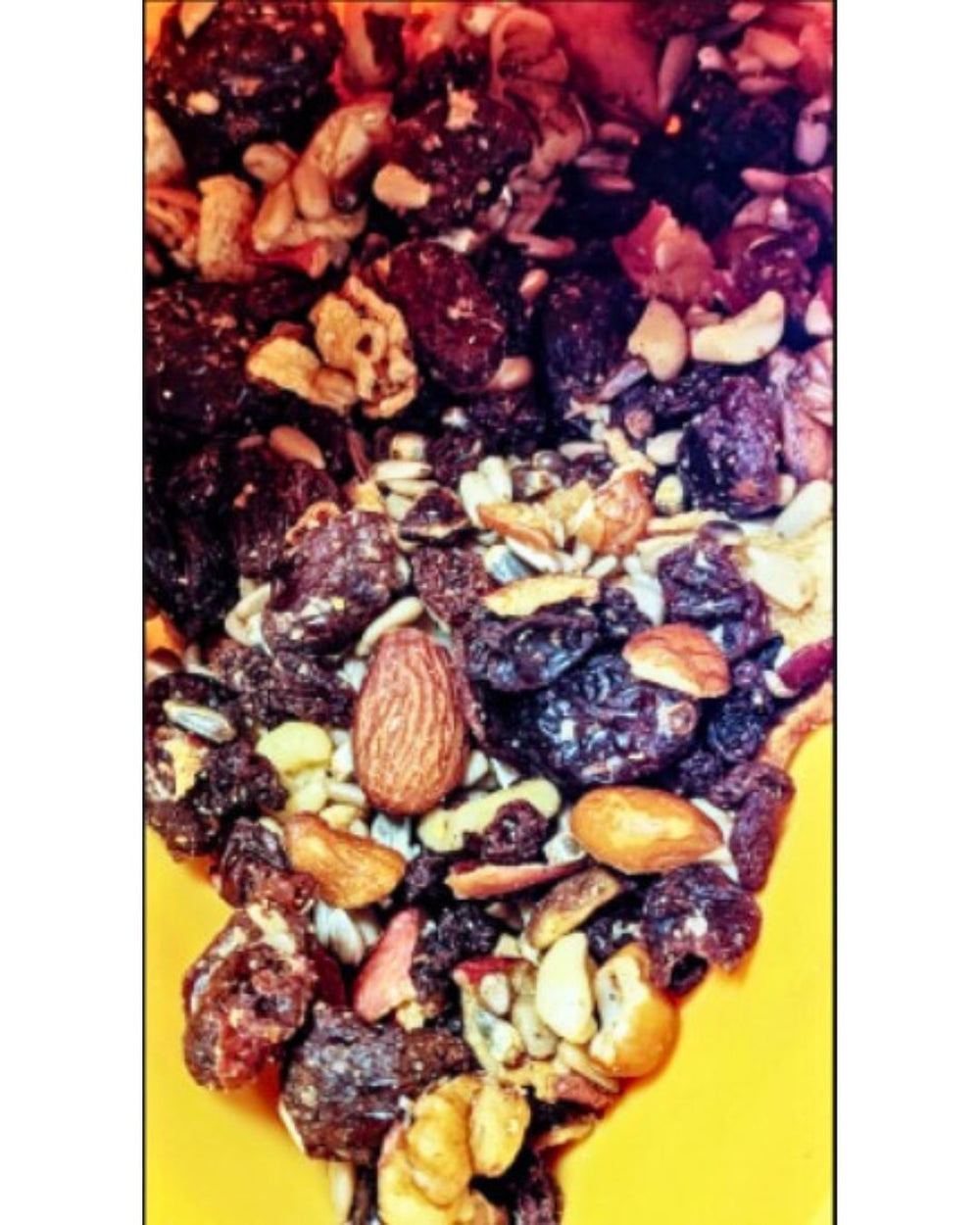 IDEAL Fruit Berries & Nut Blend Wild Bird Seed