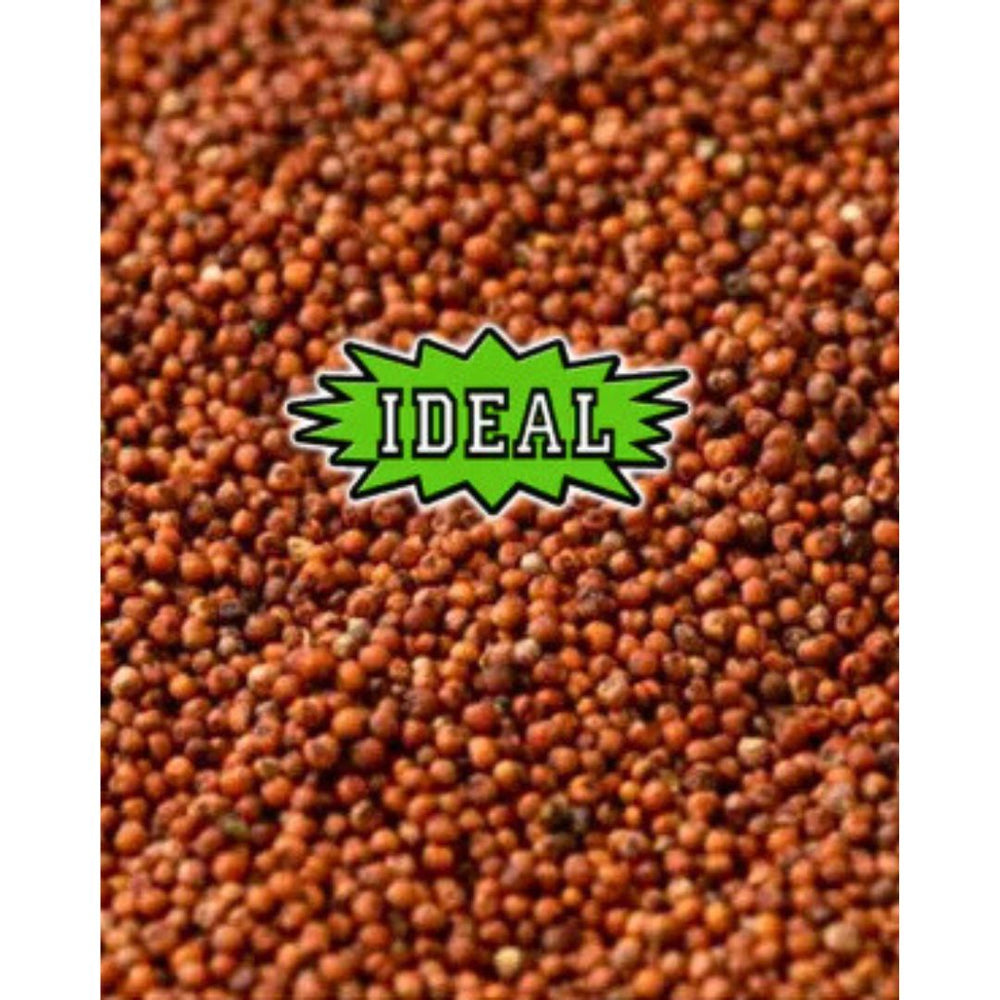 50 Lbs. IDEAL Red Millet Wild Bird Seed