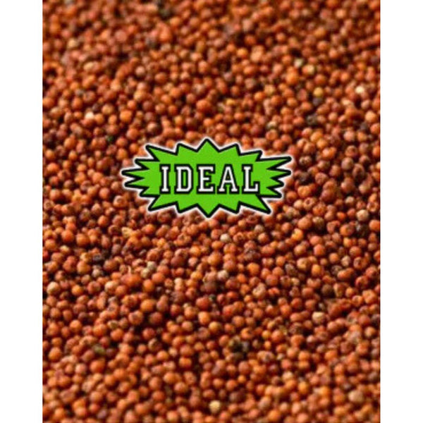 50Lb IDEAL Red Millet Wild Bird Seed