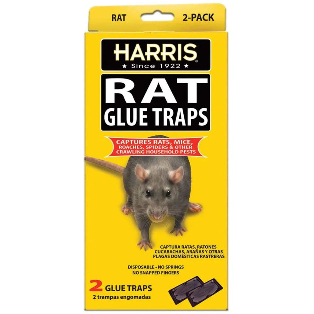 Harris Rat Glue Trap 2pk