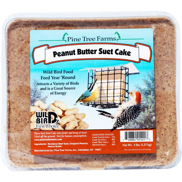 3 Lbs. Peanut Butter Suet Cake: High-Energy Wild Bird Treat
