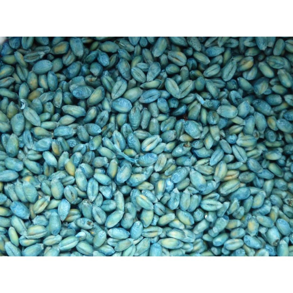 50.0 lbs IDEAL Blue Oat Groats Wild Bird Seed