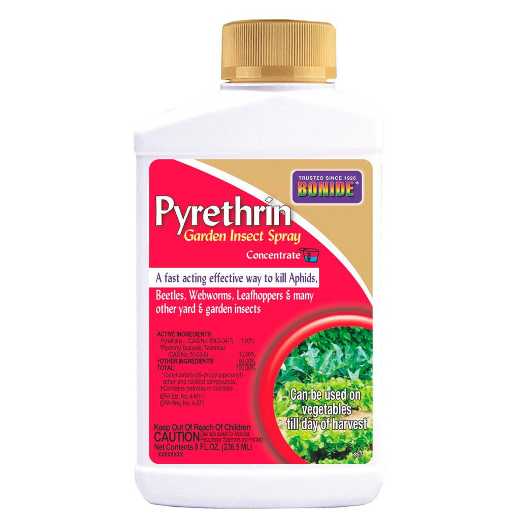 natural spray for vegetable garden 1 Pt. Bonide Pyrethrin Garden Insect Spray Concentrate