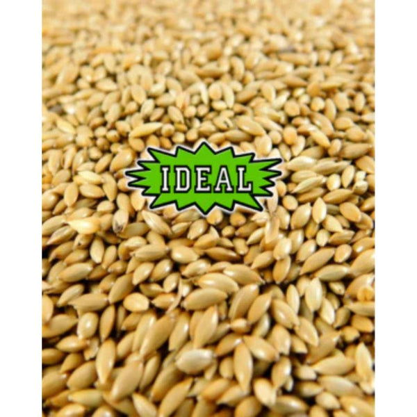 50 Lbs. IDEAL Canary Seed Wild Bird Seed