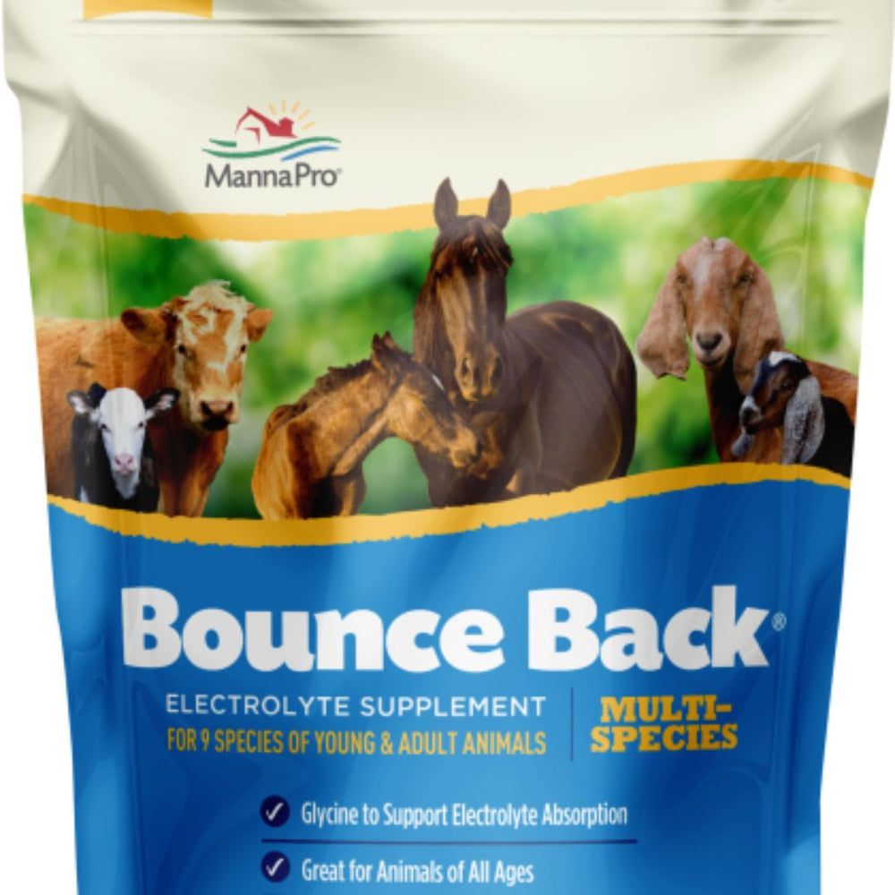4oz Bounce Back Electrolyte Supplement - Restore Hydration and Vitality in Horses During Stress or Exercise