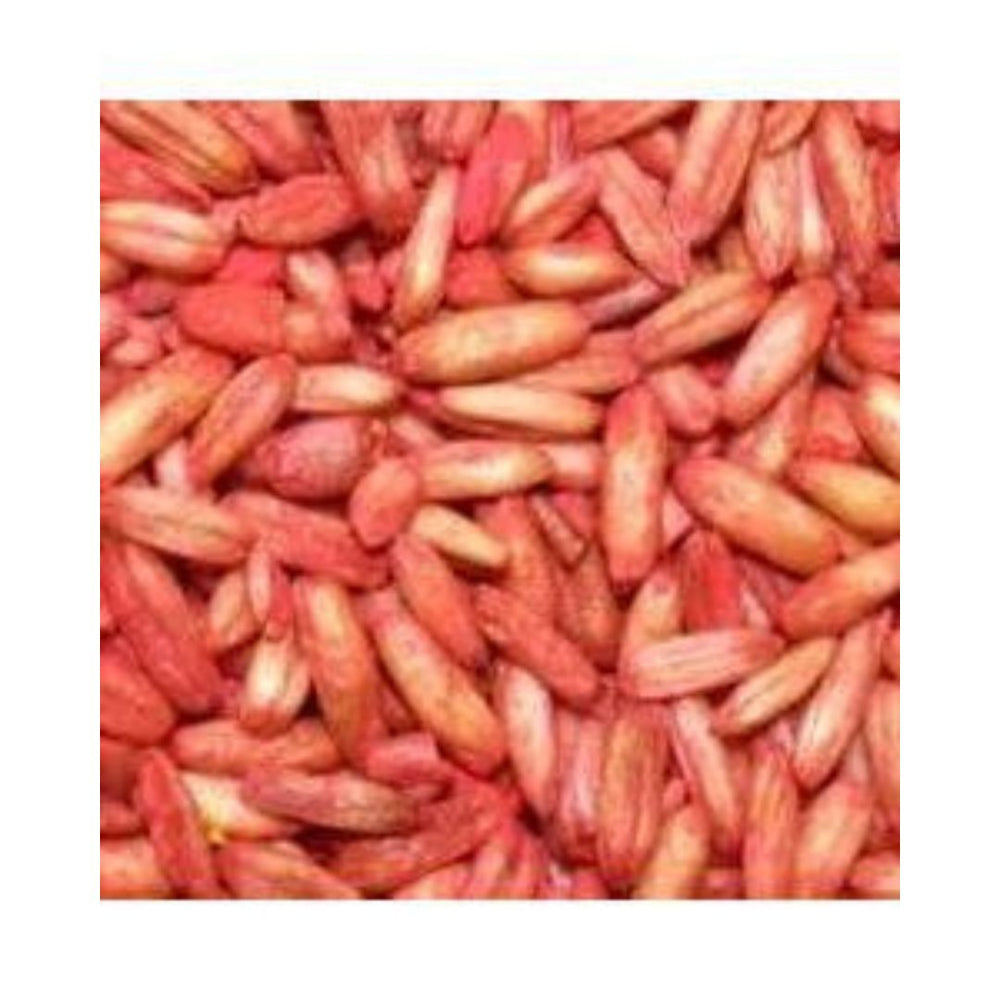 50 Lbs. IDEAL Red Oat Groats Wild Bird Seed