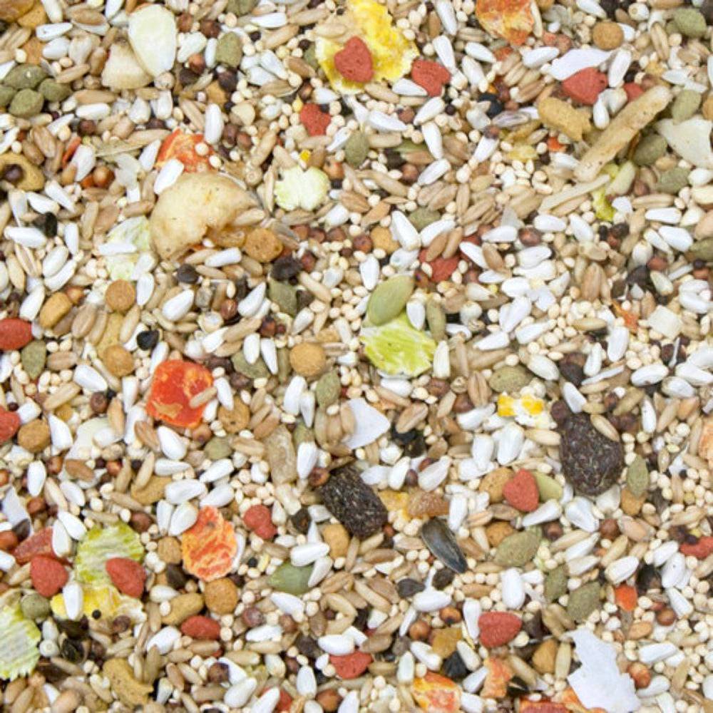 Higgins Safflower Gold Conure and Cockatiel Food