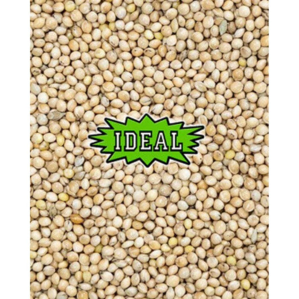 IDEAL White Millet Wild Bird Seed