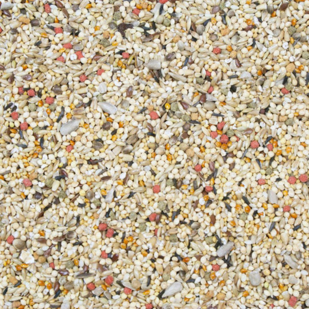 Higgins Vita Seed Finch Seed Mix