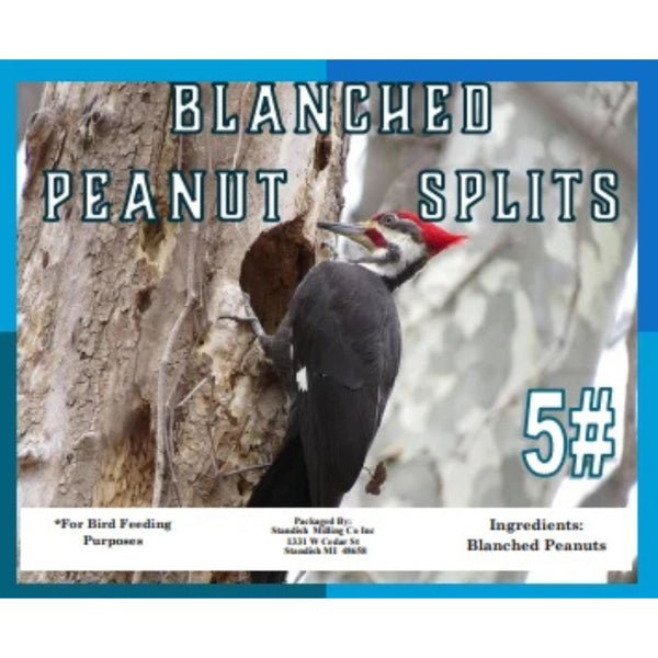 5 Lbs. Blanched Peanut Splits