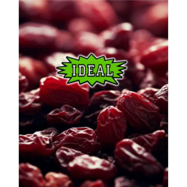 25Lb IDEAL Dried Cranberries Wild Bird Seed - Tempting Delicacy for Fruit-Loving Birds