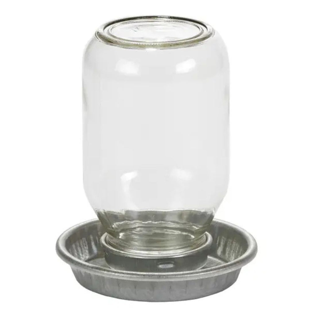 1 Quart Miller Mason Jar Baby Chick Waterers