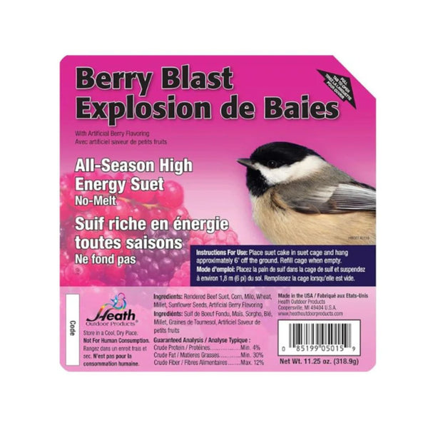 11oz Berry Blast Suet High-Energy Wild Bird Treats