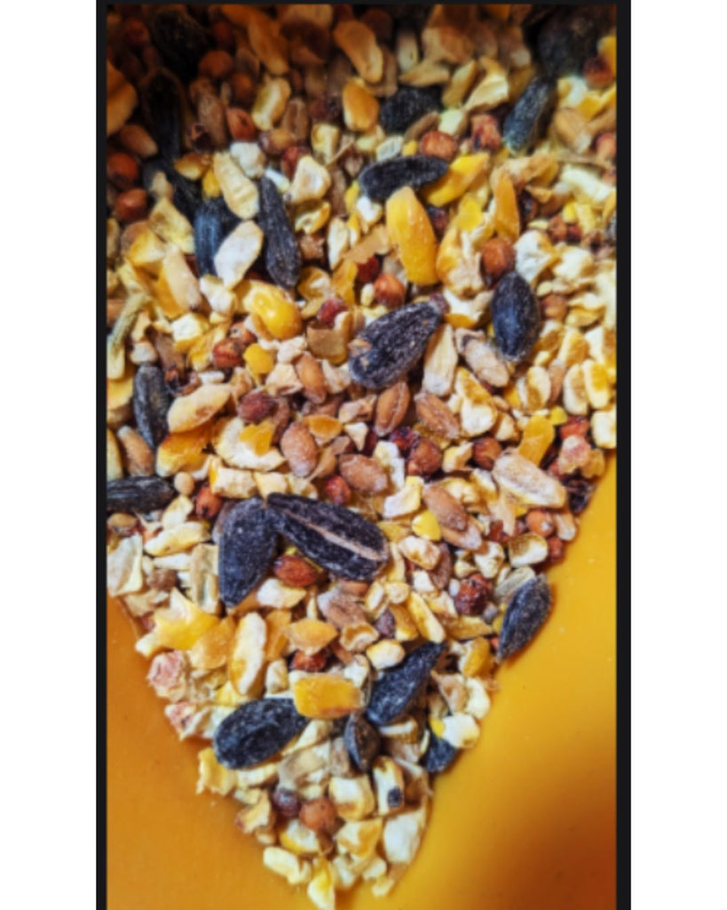 Mixed Wild Bird Food – 20 Lb Value Mix – Backyard Birds – USA Made