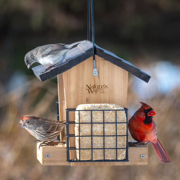 3 Qt. Nature's Way Farmhouse Hopper Feeder w/ Suet Cages