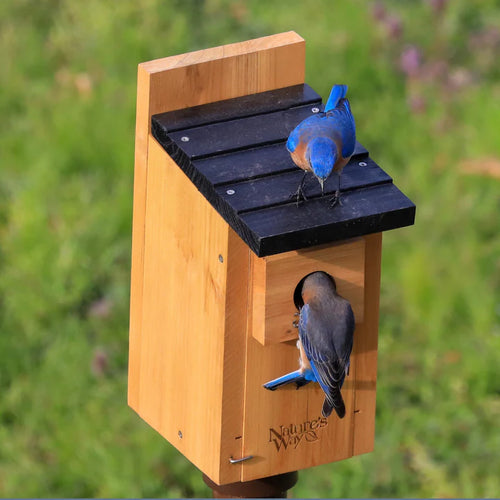 Nature's Way Cedar Bluebird Box House