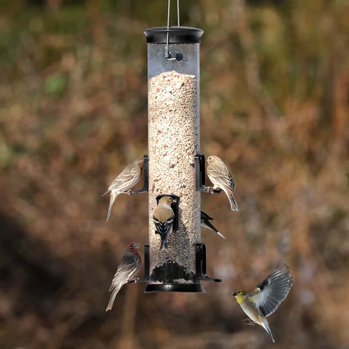 2.1 Qt. Nature's Way Large Black Plastic Tube Bird Feeder