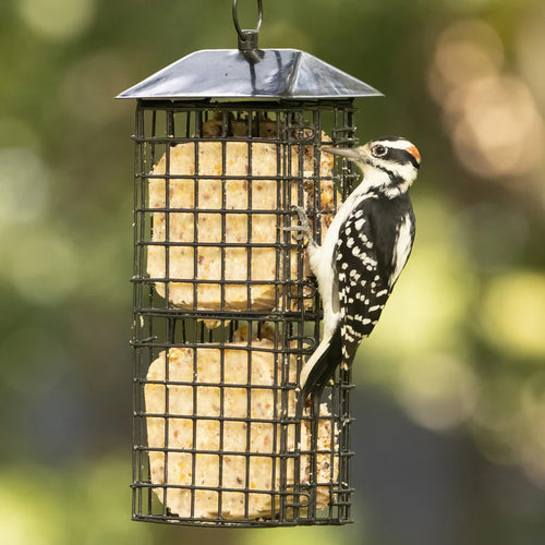 Nature's Way Metal Suet Cage 4 Cake Bird Feeder w/ Roof