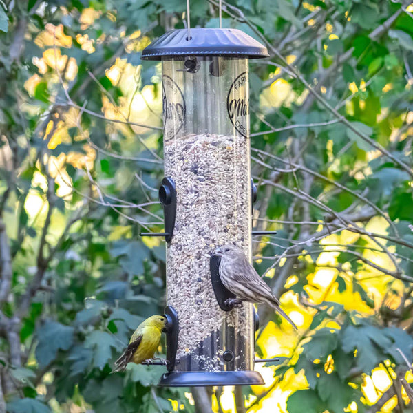 2.8 Qt. Nature's Way Farmhouse Easy Clean Plastic Tube Bird Feeder