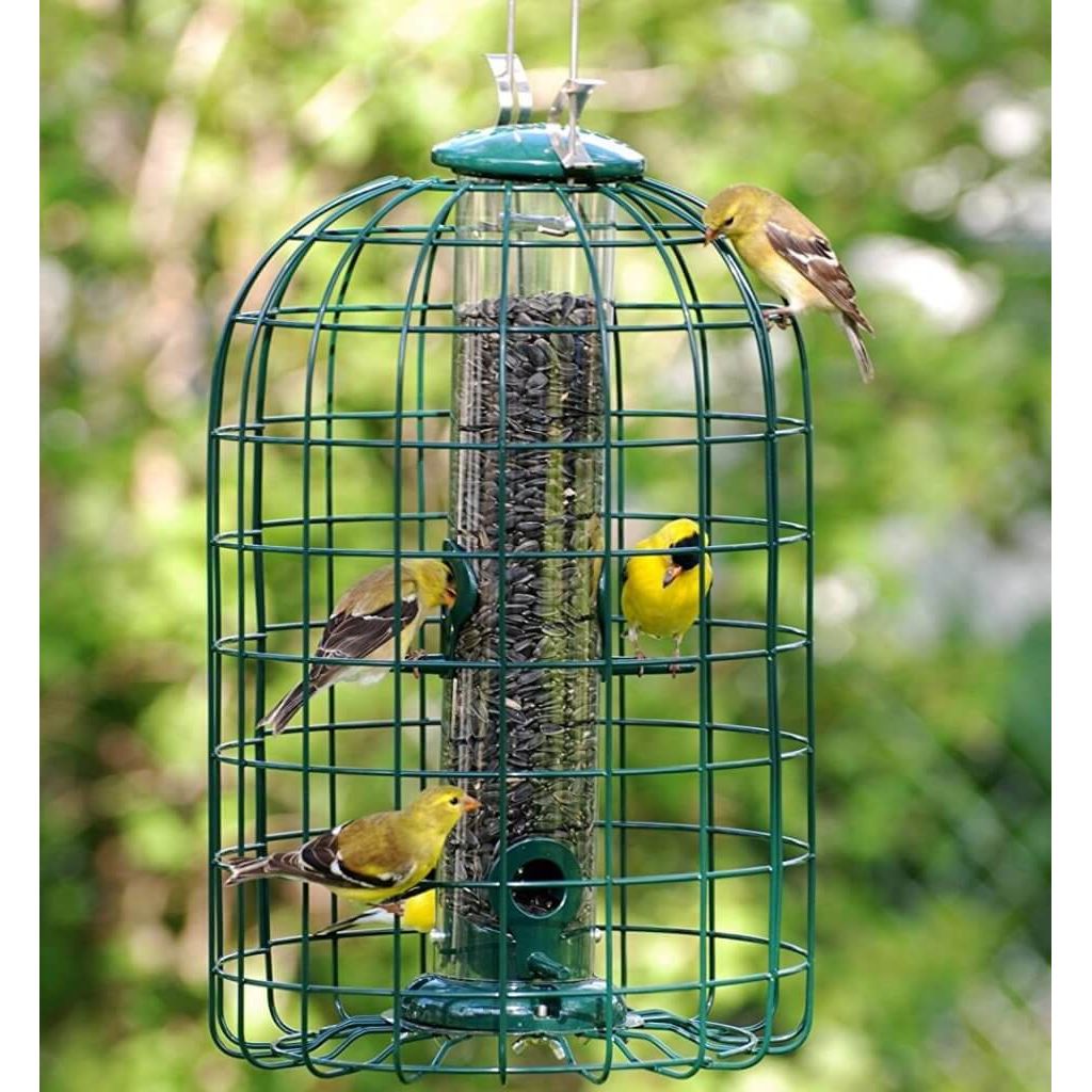 Ultimate Squirrel-Proof Caged Tube Type Bird Feeder Model - Heavy Duty
