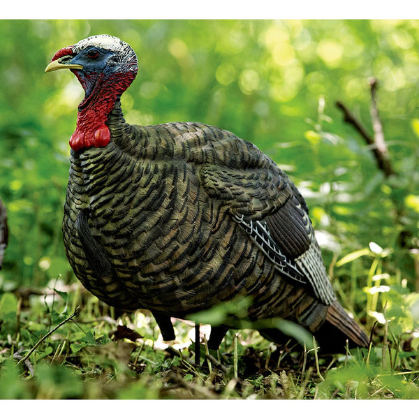 Avion X LCD Quarter Strut Jake - Decoy Turkey