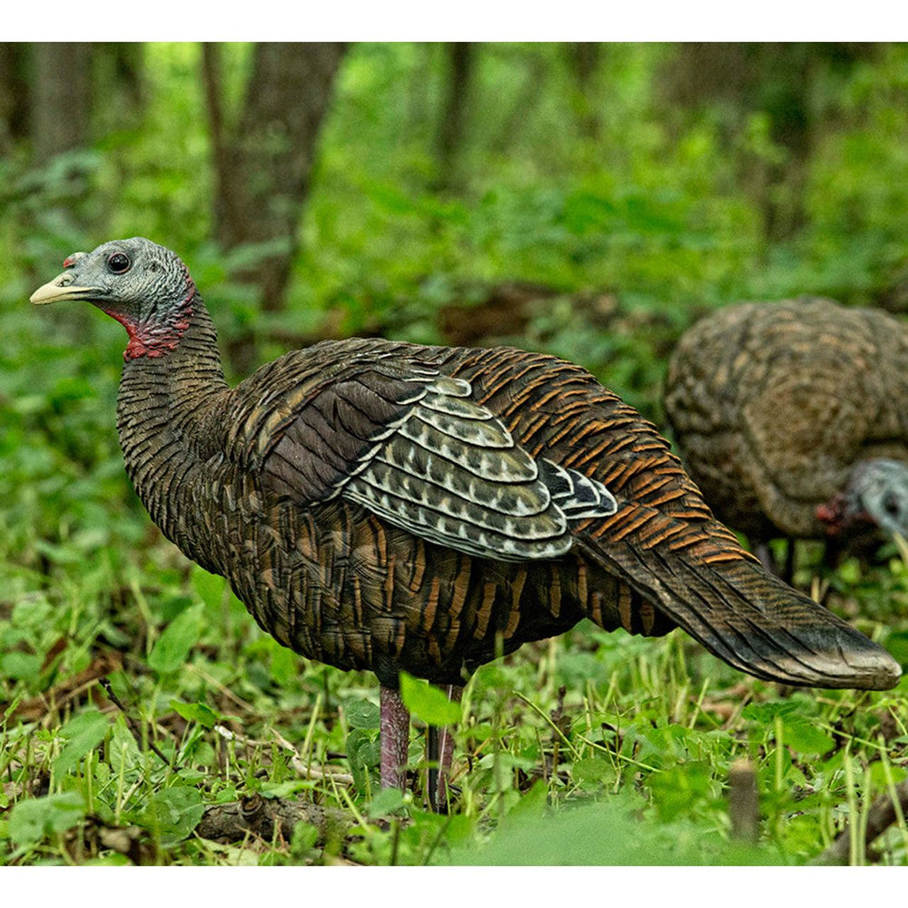 Avion X Breeder Turkey - LCD Decoy