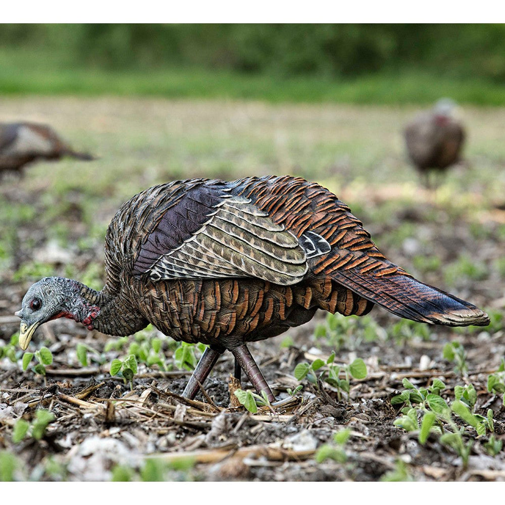 Avion X Feeder Turkey Decoy - LCD Feeder Hen