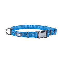 Coastal Pet K9 Explorer Teal Reflective Dog Collar