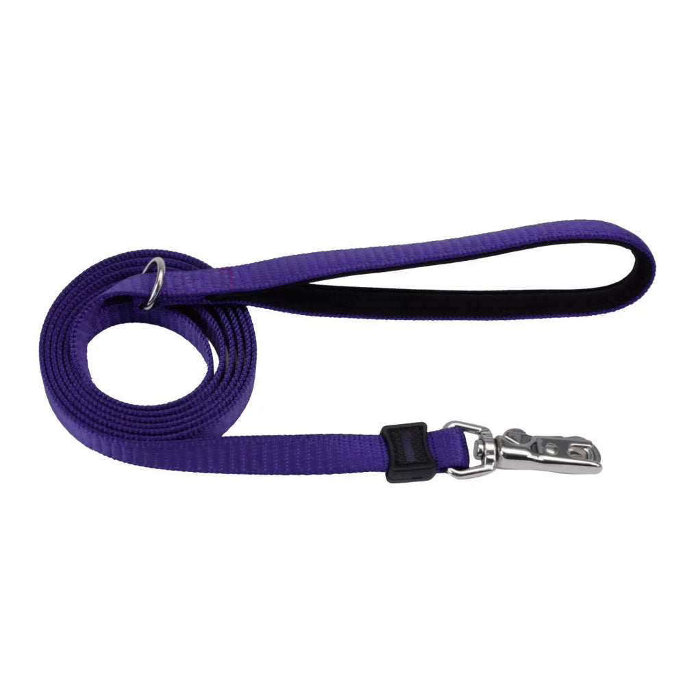 Coastal Pet Inspire 6ft Purple Dog Leash
