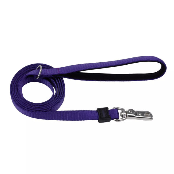 Coastal Pet Inspire 6ft Purple Dog Leash