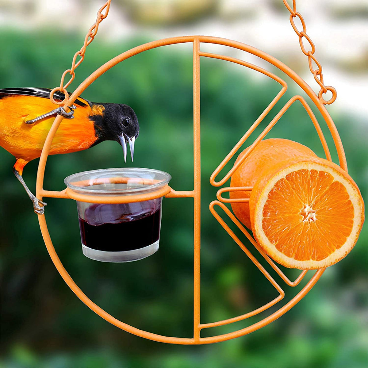 4.5oz Dual Clementine Oriole Feeder