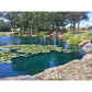 1 Gallon ORGANIC POND-CLEAN:CLEAR:BLUE - Beneficial Bacteria and Pond Dye