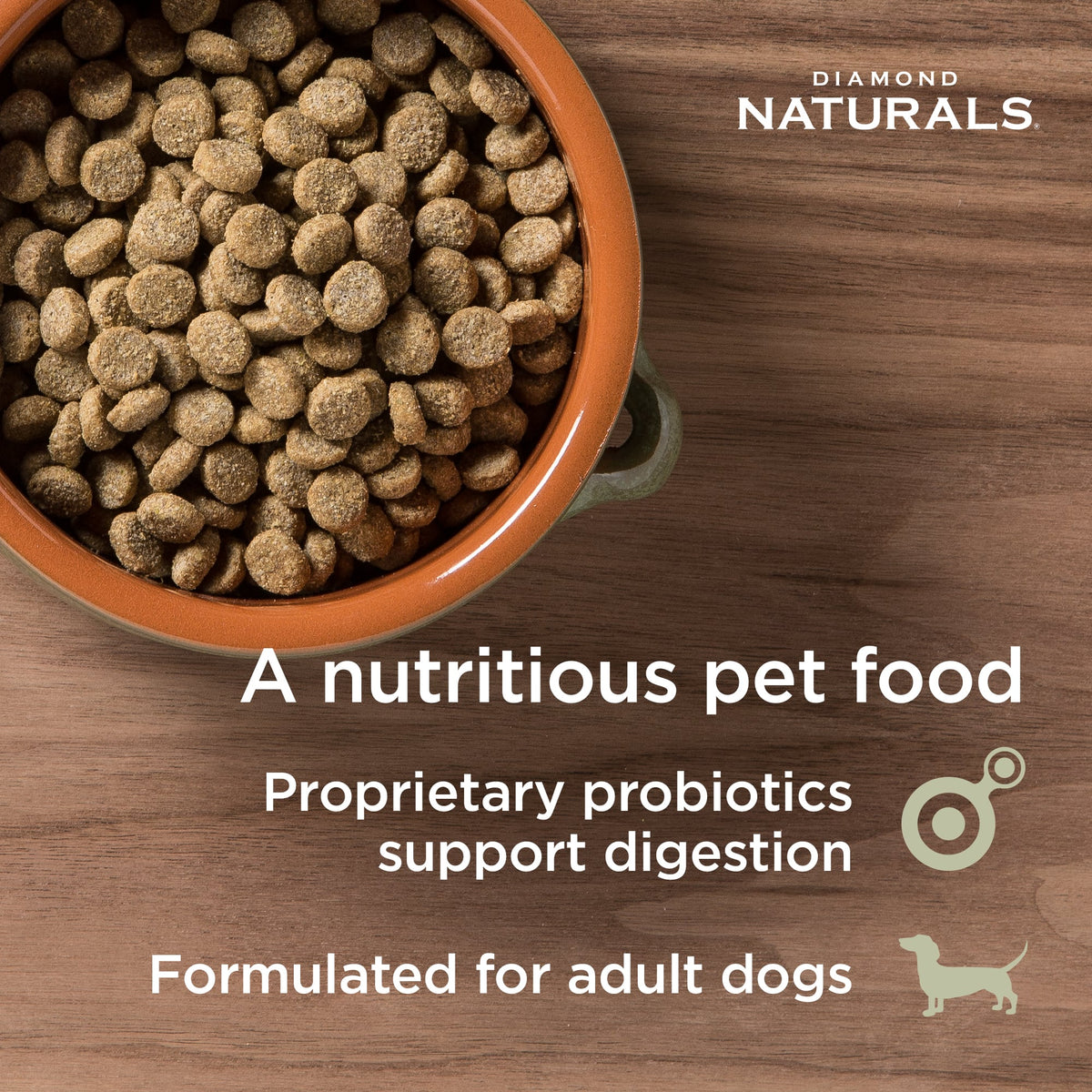 Diamond Light Lamb & Rice Dry Dog Food