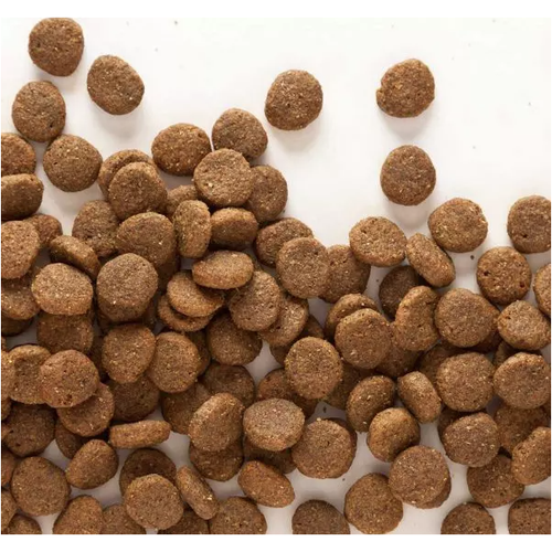 40Lb SPORTMiX Wholesomes with Fish Meal & Rice Formula Adult Dry Dog Food