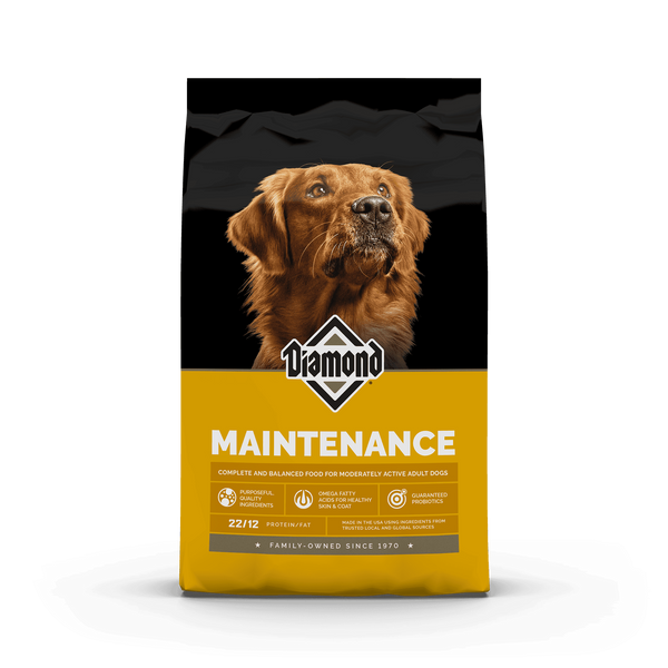 Diamond Maintenance Adult Dry Dog Food