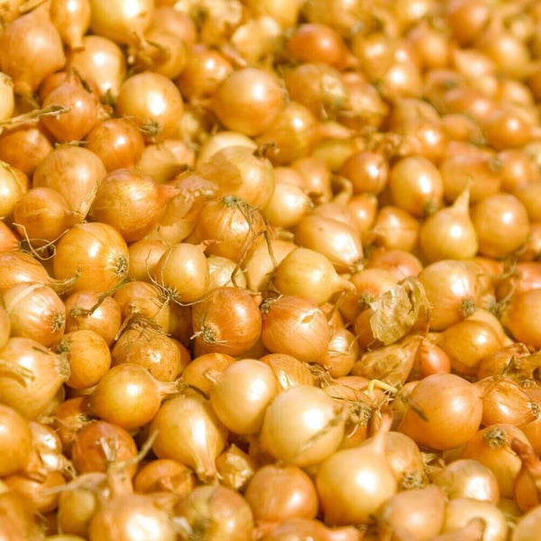 32 Lbs. Yellow Onion Bag