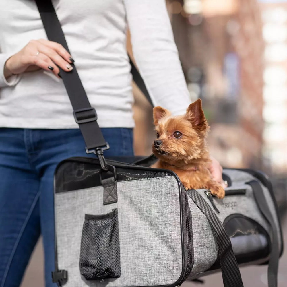 Coastal Pet Bergan Travel Booster Pet Carrier for Pets up to 15lbs