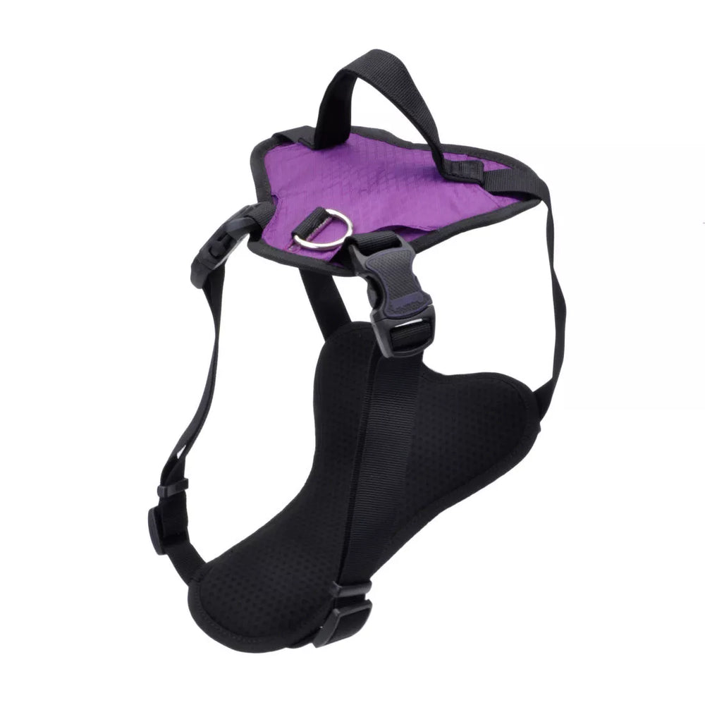 Coastal Pet Inspire Adjustable Dog Harness with Handle - Purple Small