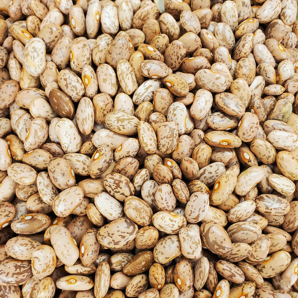 50Lbs Pinto Beans