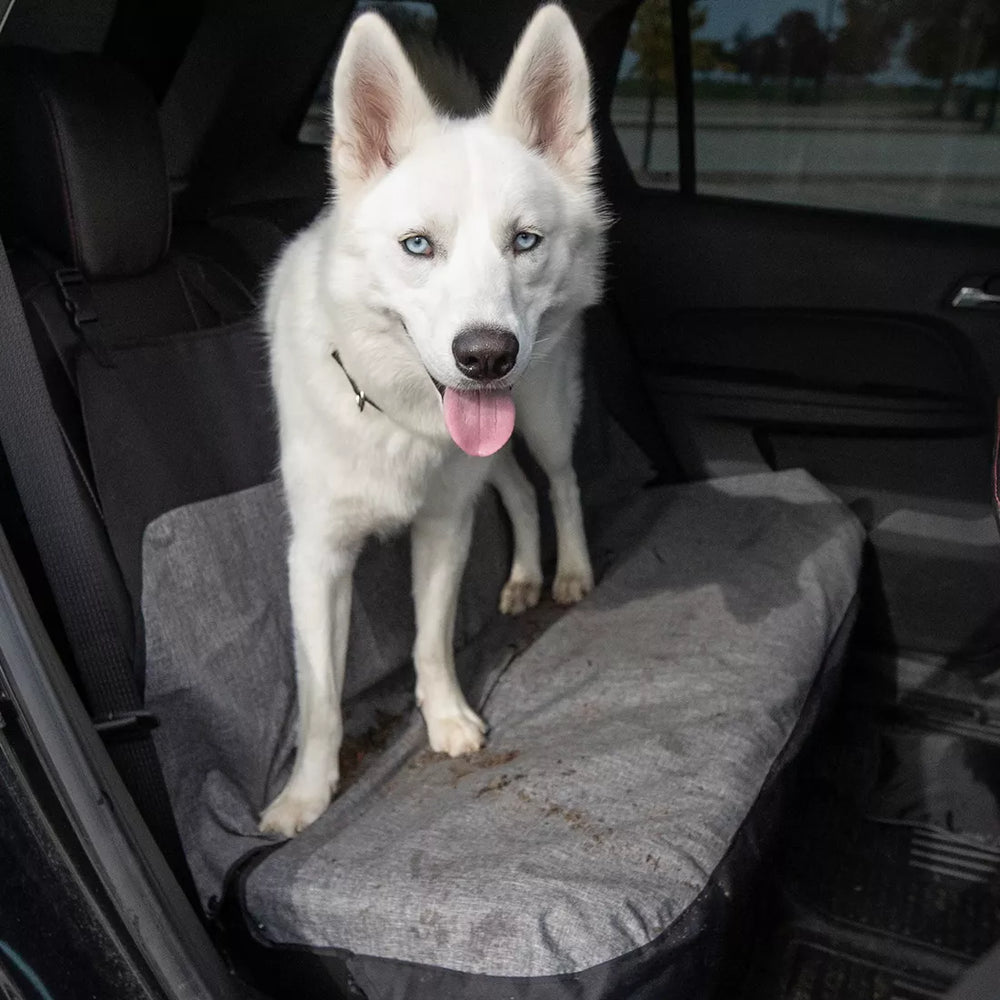 Coastal Pet Bergan Bench Seat Protector 62" x 47"